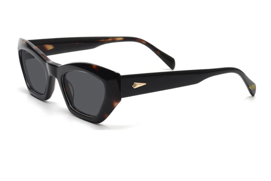 Katsuo Sunglasses C2